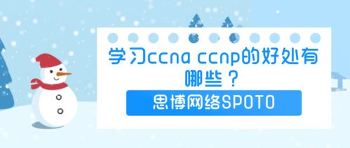 学习CCNA和CCNP 网络科技行业的敲门砖与晋升梯